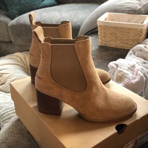 UGG booties